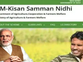 PM Kisan 20th Installment: 20th installment of the Kisan Yojana can be released on this day, you will have to do this work to get 2000 rupees