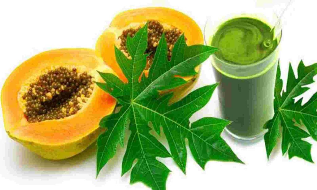 Health Tips Is eating papaya beneficial for a diabetic patient? Learn informalnewz