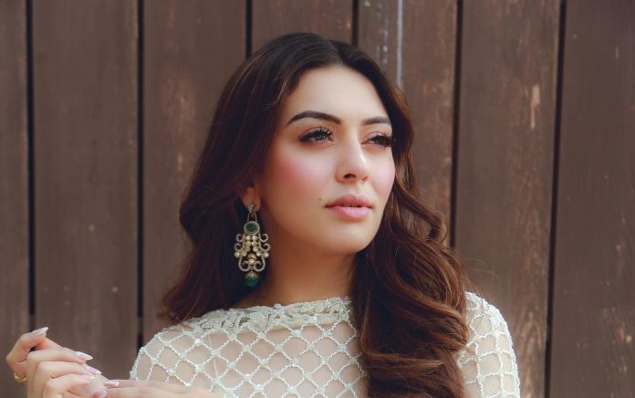 Hansika Motwani went bo*ld in Paris, got a photoshoot done in Thai high slit short dress