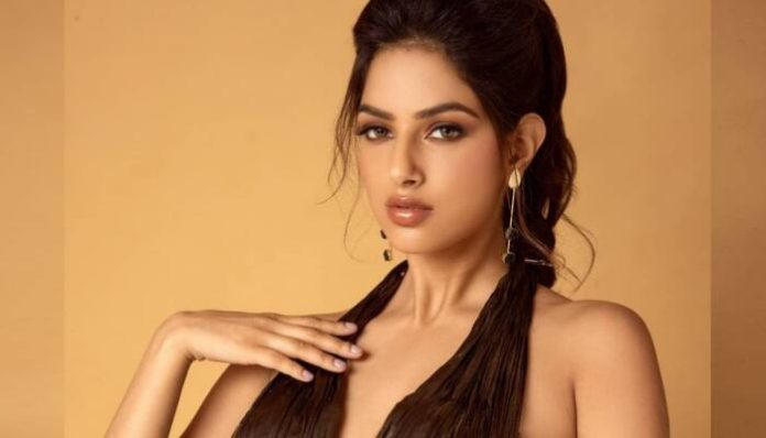 Harnaaz Sandhu wore a transparent gown for a bo*ld photoshoot, gave so many killer poses
