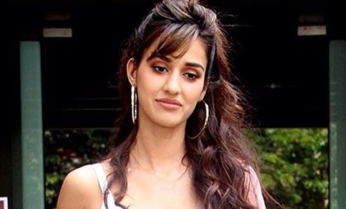 Disha Patni opened the front zip at the airport, crossed the limits of bo*ldness, competing to get the photo taken Disha Patni opened the front zip at the airport, crossed the limits of bo*ldness, competing to get the photo taken