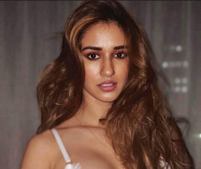 Disha Patni shared a bo*ld video wearing a bra, the actress was seen out of control, watch the video