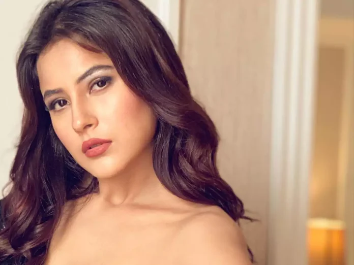 Shehnaaz Gill came out late at night, holding the hand of this star in a bold style, the dress was too revealing