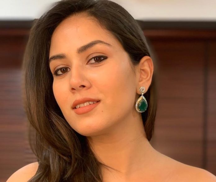 Mira Kapoor wore a sari without a blouse, on seeing her mother-in-law made such a comment