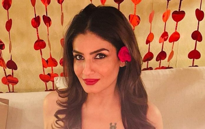 Raveena Tandon's glamorous look won't take your eyes off her, wreaked havoc in her shimmery dress