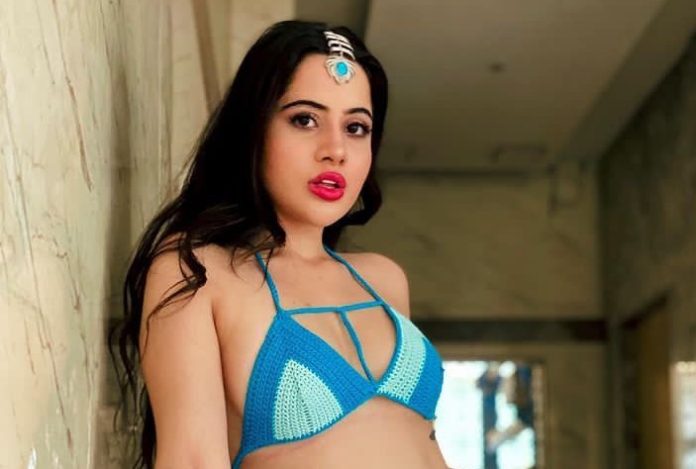 Urfi Javed video surfaced from Anjali Arora's birthday party, was seen doing such acts