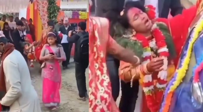 Viral Video: family members made a video after forcibly bidding farewell to the bride, you will also be laughing after seeing it! Viral Video: family members made a video after forcibly bidding farewell to the bride, you will also be laughing after seeing it!