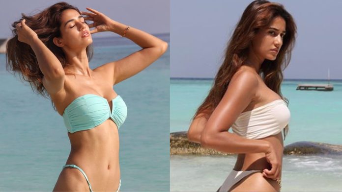 Disha Patani made fans crazy by showing her toned body in bik*ini, see latest pictures went viral