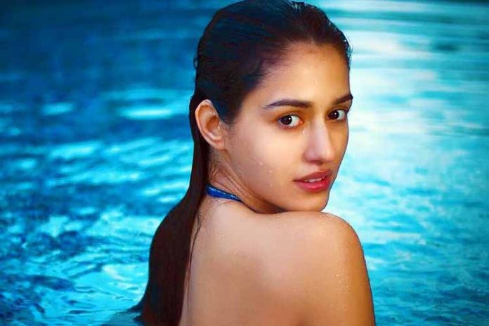 Disha Patni got a bo*ld photoshoot done wearing denim jeans and black bralette, fans' eyes fixed on the pictures