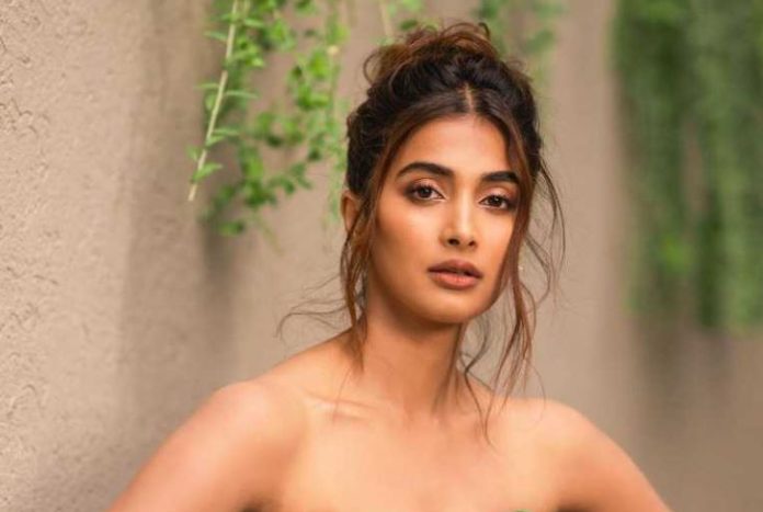Pooja Hegde showed hotness by wearing a blouse with two straps, people's eyes fixed on her waist, Watch video