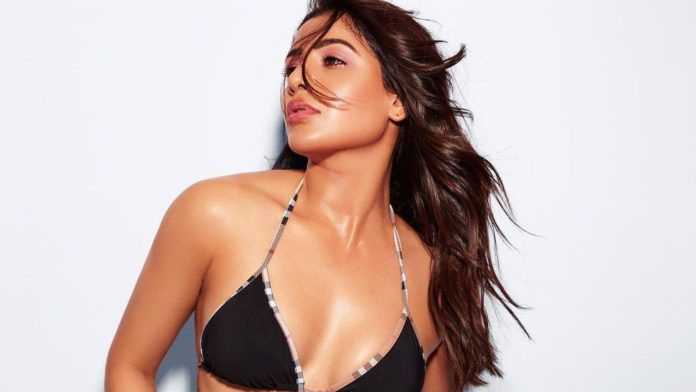 South Actress Biki*ni Pic: From Samantha to Rashmika, the glimpse of these beauties of South will make the fans clean bold in bikini