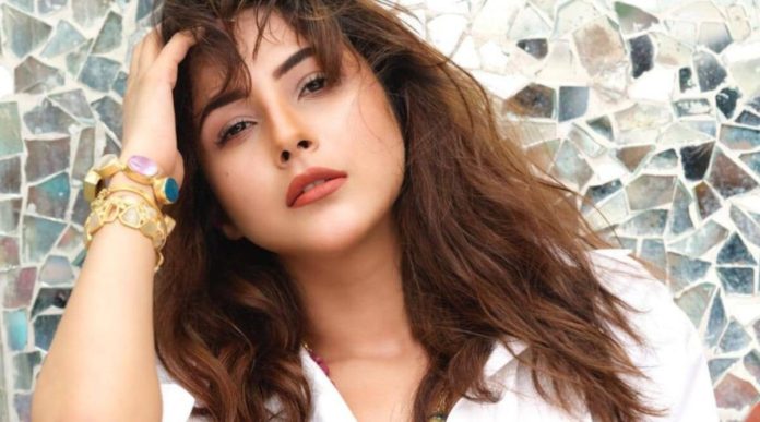 Shehnaaz Gill Trolled: Attitude came in Shehnaaz Gill as soon as she became a star? Paparazzi taunted, trolled for rude behavior, Watch Video