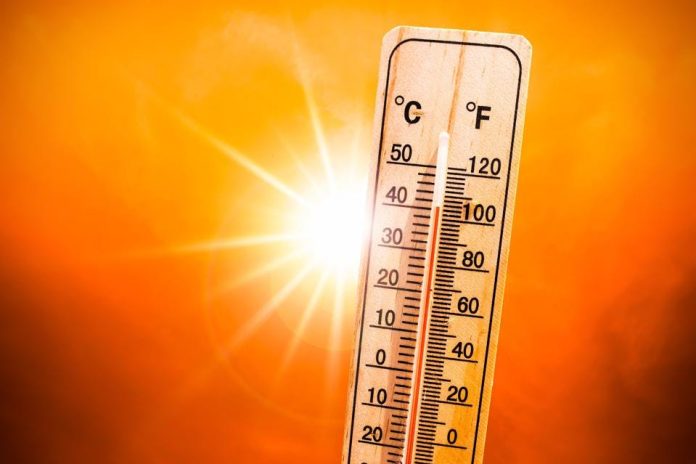 IMD Alert ! India Meteorological Department predicts heatwave conditions for THESE states today, check full list