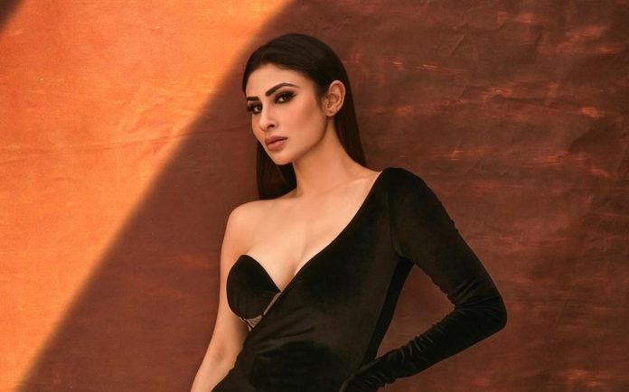 Seeing the sexy swag of Mouni Roy, the fans got sweaty, viral photos created panic on the internet!