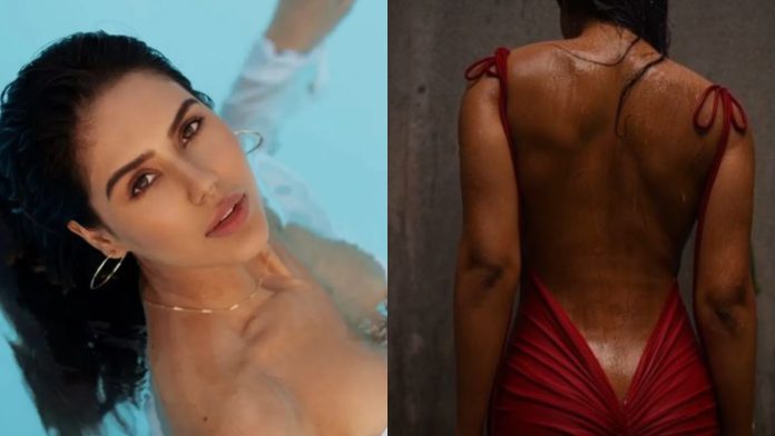 Punjabi Actress Sonam Bajwa breaks all limits of boldness in sizzling video - You can also watch the hot video