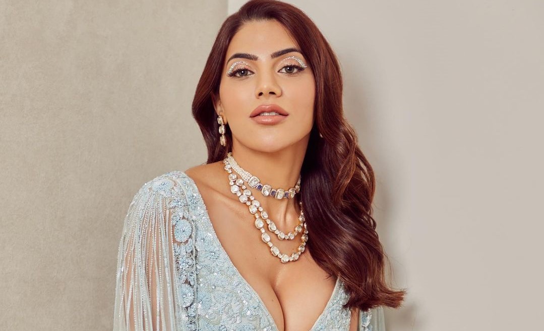 Nikki Tamboli wore deep neck blouse with transparent saree, people