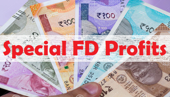 Special FD Profits: Big news! Invest money in special FD, not FD, Big profits will be available with bumper returns, know full details here