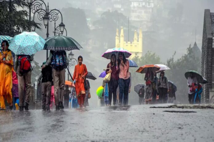 Rainfall Update: IMD issues alert of heavy rain in many states of the country, know the weather condition of your state