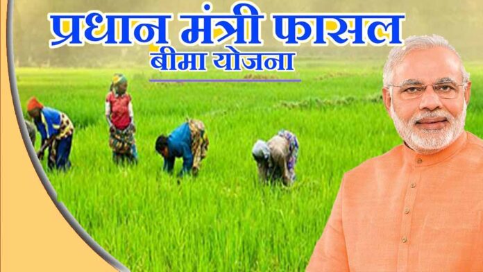 PM Fasal Bima Yojana: Big news for farmers! Register before July 31, the government is compensating the loss of farmers