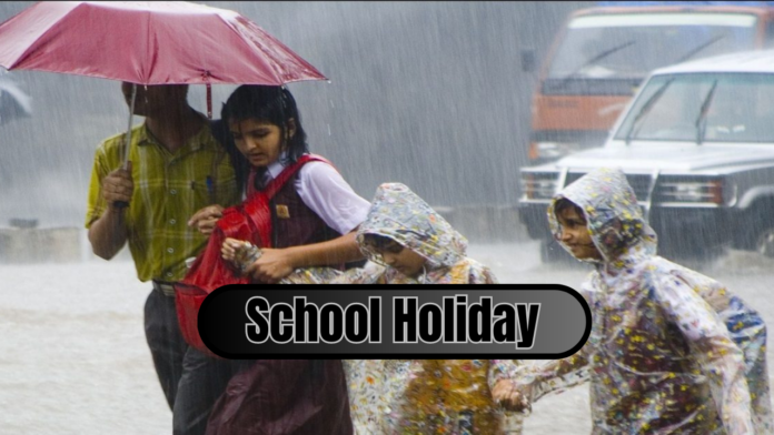 Schools, colleges closed due to heavy rains in this state, see school updates here