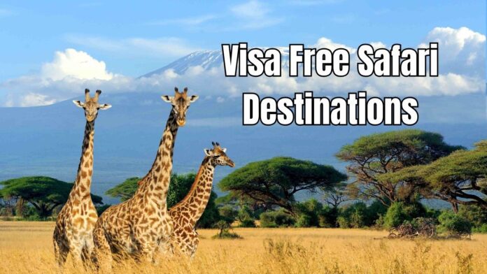 Visa Free Safari Destinations You can visit these 13 beautiful safari destinations without visa, know complete details