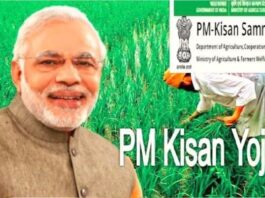 PM Kisan: Big update; Keep these things in mind while getting e-KYC done, otherwise the 17th installment will get stuck.