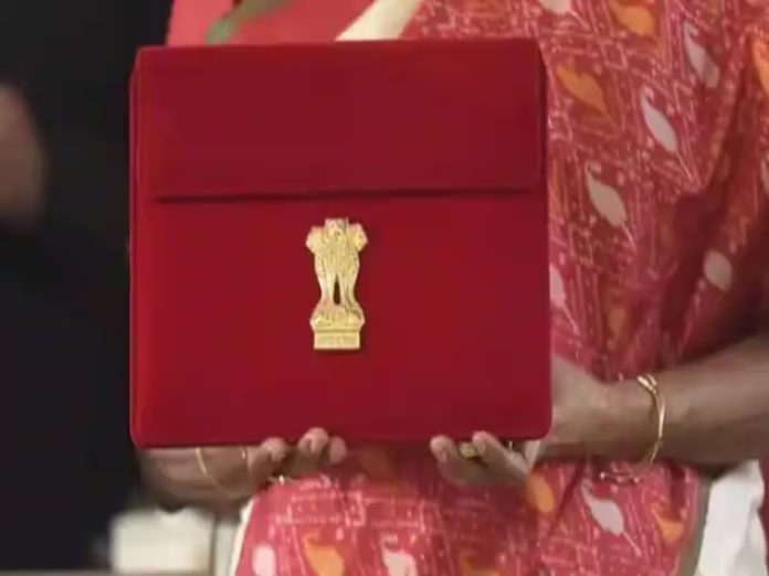 Budget 2024: There will be a big announcement for government employees, they will get 300 leaves. Budget 2024: There will be a big announcement for government employees, they will get 300 leaves.