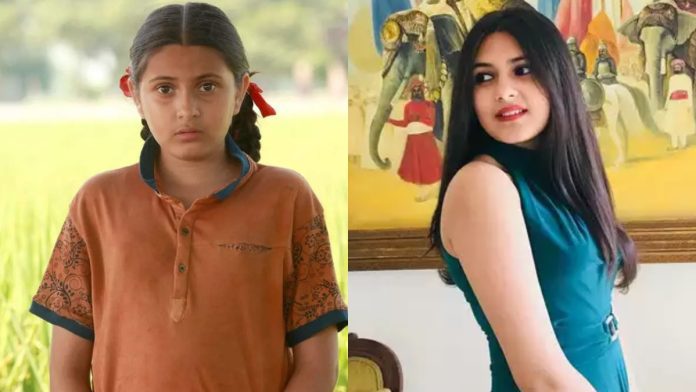 Suhani Bhatnagar Dies: Suhani Bhatnagar dies at the age of 19, played the role of Chhoti Babita in Dangal
