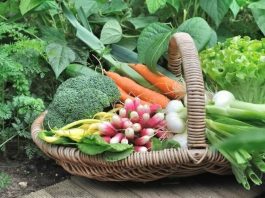 Summer Foods: 5 healthy foods to eat in summer season