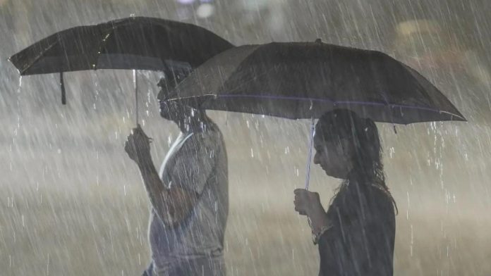 IMD Rainfall Alert! Yellow alert of rain and hailstorm with strong storm for 4 days in Madhya Pradesh