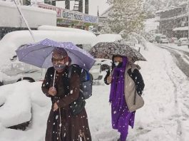 IMD Yellow Alert: Snowfall up to five inches in this area of Himachal, rain alert for two days