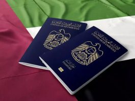 UAE launches 10-year Blue Residency visa, know who can apply