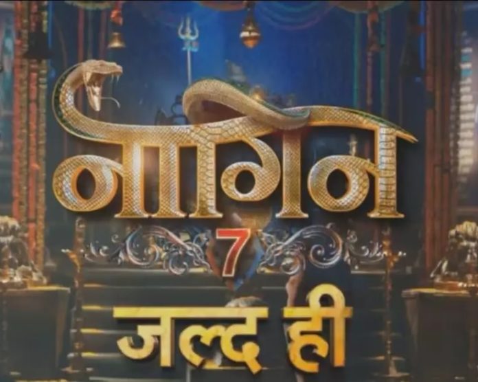Naagin Season 7: Ekta Kapoor's 'Naagin 7' season will be launched on this day! This actress of Bigg Boss 6 fame can become the next 'Naagin' Naagin Season 7: Ekta Kapoor's 'Naagin 7' season will be launched on this day! This actress of Bigg Boss 6 fame can become the next 'Naagin'