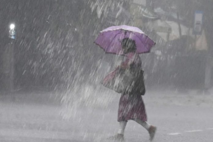 Rain alert: Chances of rain and storm in these districts for three days from today, Meteorological Department warns