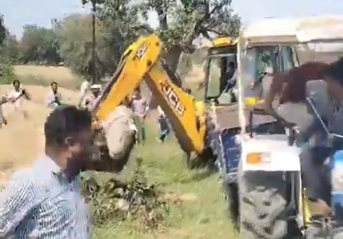 Crocodile Video: JCB had to be called to rescue a 12 feet long crocodile, video went viral
