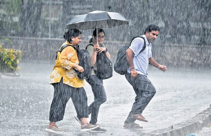 Delhi-NCR Weather: It has been raining continuously in Delhi-NCR for the last 24 hours. The humidity has reduced to a great extent due to the continuous rain. Due to the rain on Friday, the weather of the capital Delhi remained quite pleasant on Saturday as well Delhi-NCR Weather: It has been raining continuously in Delhi-NCR for the last 24 hours. The humidity has reduced to a great extent due to the continuous rain. Due to the rain on Friday, the weather of the capital Delhi remained quite pleasant on Saturday as well