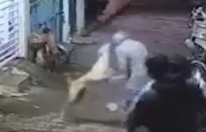 Video: Dog attacks an old man walking on the road, bites his nose, video of the fatal attack goes viral