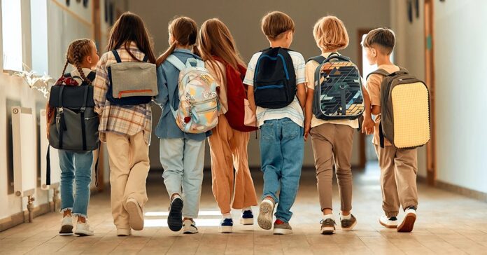 School Holiday declared: Big relief for school student..! Holiday declared in schools and colleges, know till when the schools will remain closed