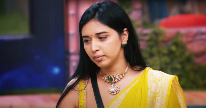 Tanya Mittal net worth: Bigg Boss 19 contestant's wealth and business empire