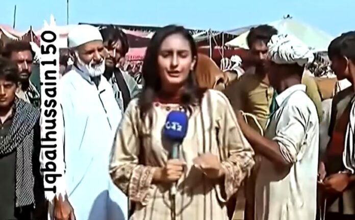 Video Bull hits female reporter in Pakistan, video will shock you
