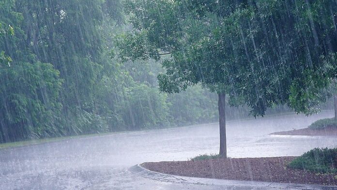 Heavy Rain Alert: Cyclonic circulation has suddenly become active, warning of rain with very dense fog.