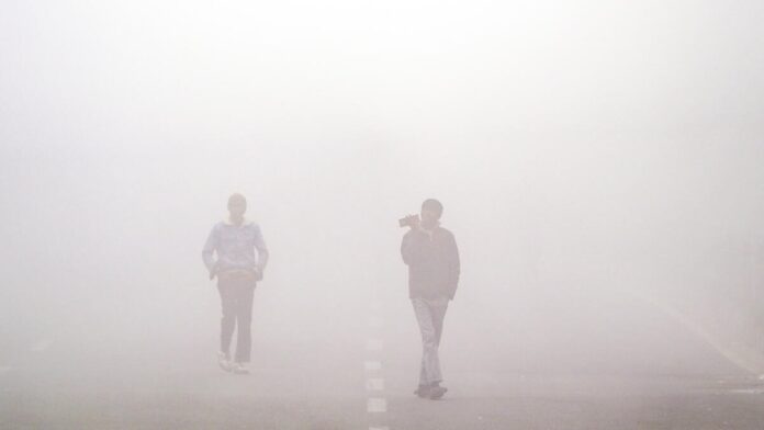 IMD Alert: Winter Rain & Dense Fog to Hit Rajasthan as Western Disturbance Intensifies