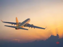 Air India Cuts Flights; Decides to Reduce Operations by 100 Flights