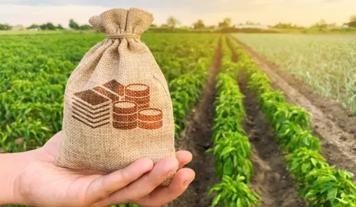 Agricultural Land Tax Rules Income Tax is Applicable Even on the Sale of Agricultural Land Know the Rules and Ways to Save on Tax.