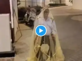 Security Guard Spotted on Duty Covered in a Mosquito Net; Video Melts Users' Hearts