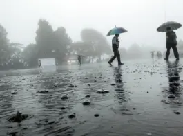 Weather Update: Effect of El Nino on monsoon, how much rain will occur in which month? Find Out Here.