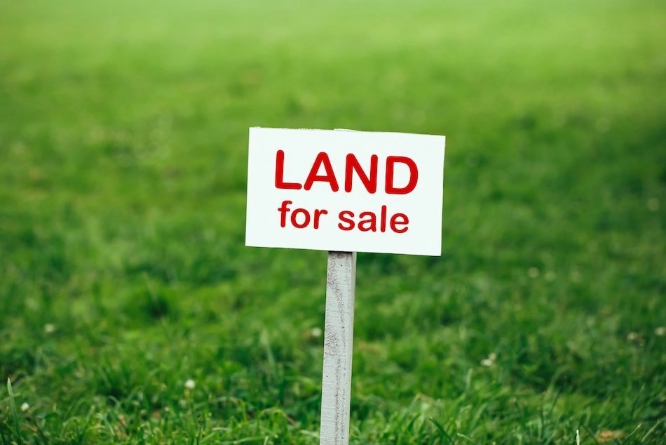 Property prices in these cities could rise by up to 15%, creating employment opportunities. Property prices in these cities could rise by up to 15%, creating employment opportunities.