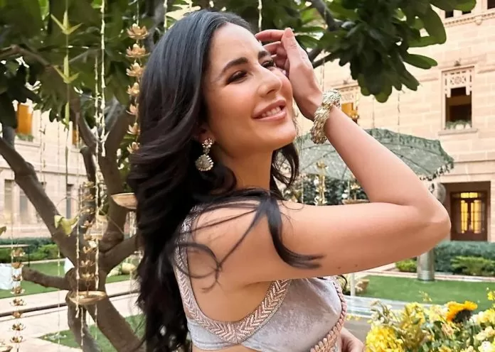 Katrina Kaif showed hot look wearing gray saree, eyes fixed on short blouse, watch video