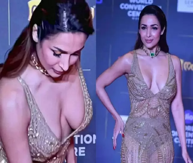Malaika Arora crossed all limits of boldness at the age of 49, showed everything wearing a netted gown, pictures went viral