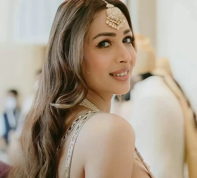Malaika's dress slipped from the front in braless look, social media users got intoxicated after seeing the pictures